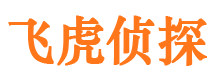 共青城市侦探调查公司